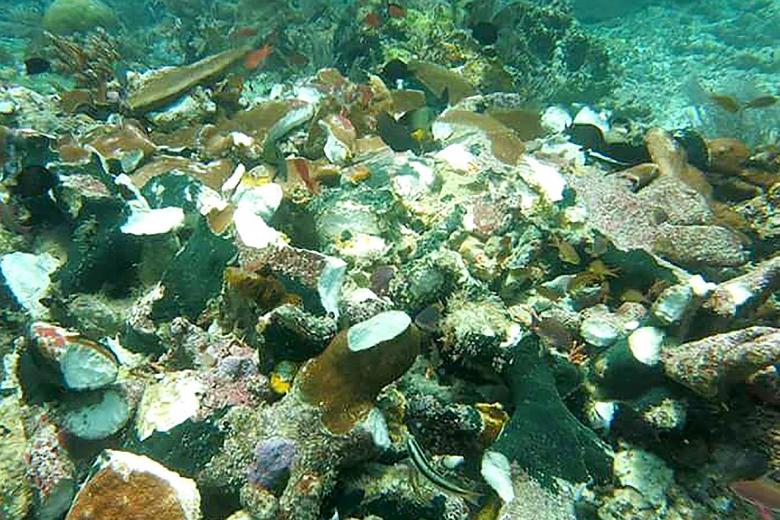 Cruise Ship Smashes Reef in Raja Ampat, Indonesia